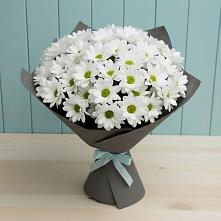 Букет цветов из:  Хризантемы #REPLACE_PRED# Петино