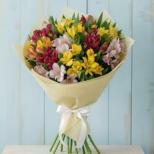 Букет цветов из:  Альстромерии #REPLACE_PRED# Петино